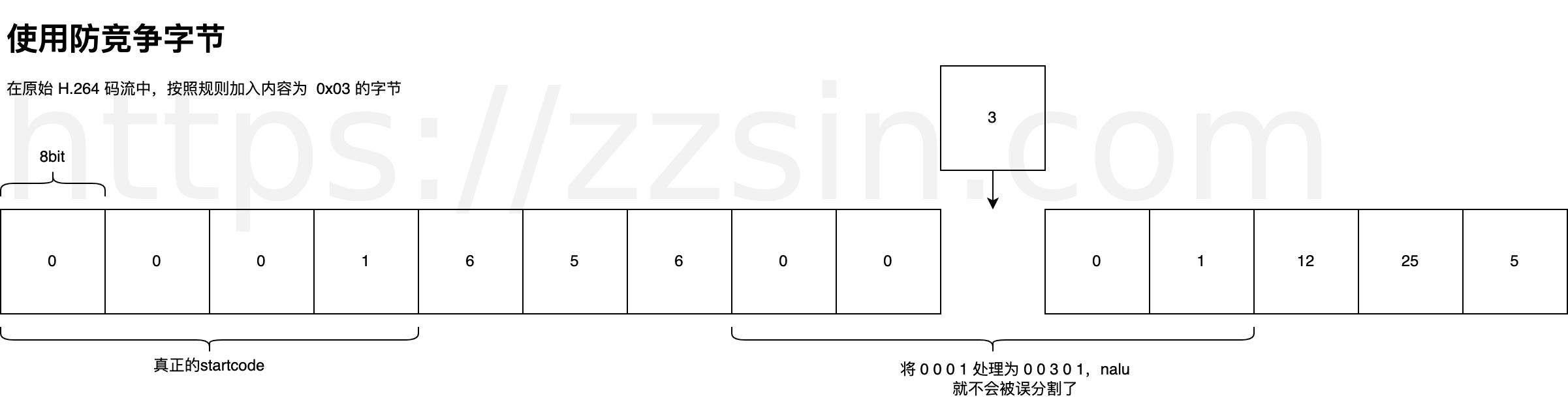 Emulation Prevention Bytes